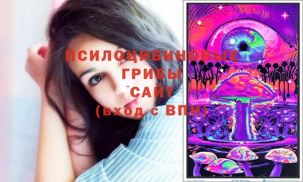 крисы Волоколамск